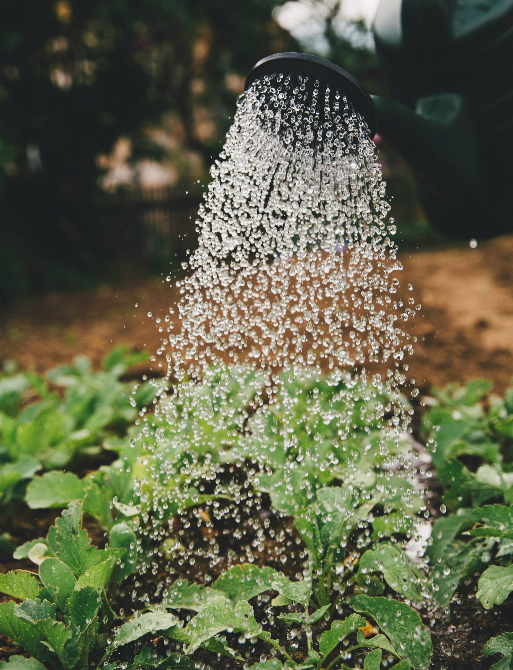 markus-spiske-sFydXGrt5OA-unsplash